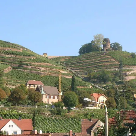 A-heyne * Weinboehla